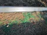 image of grave number 365086